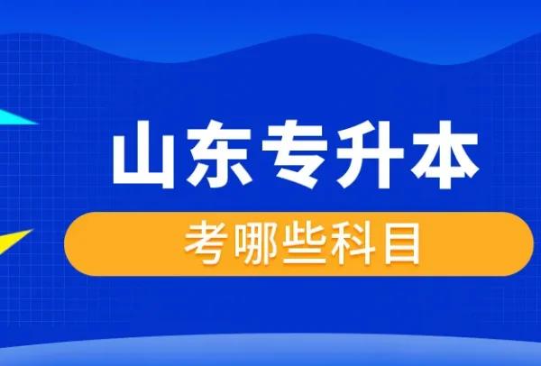 专升本自荐考试难吗(专升本自荐考试难度解析) 