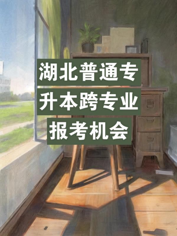 湖北专升本可以跨专业的学校(湖北专升本跨专业报考学校一览) 